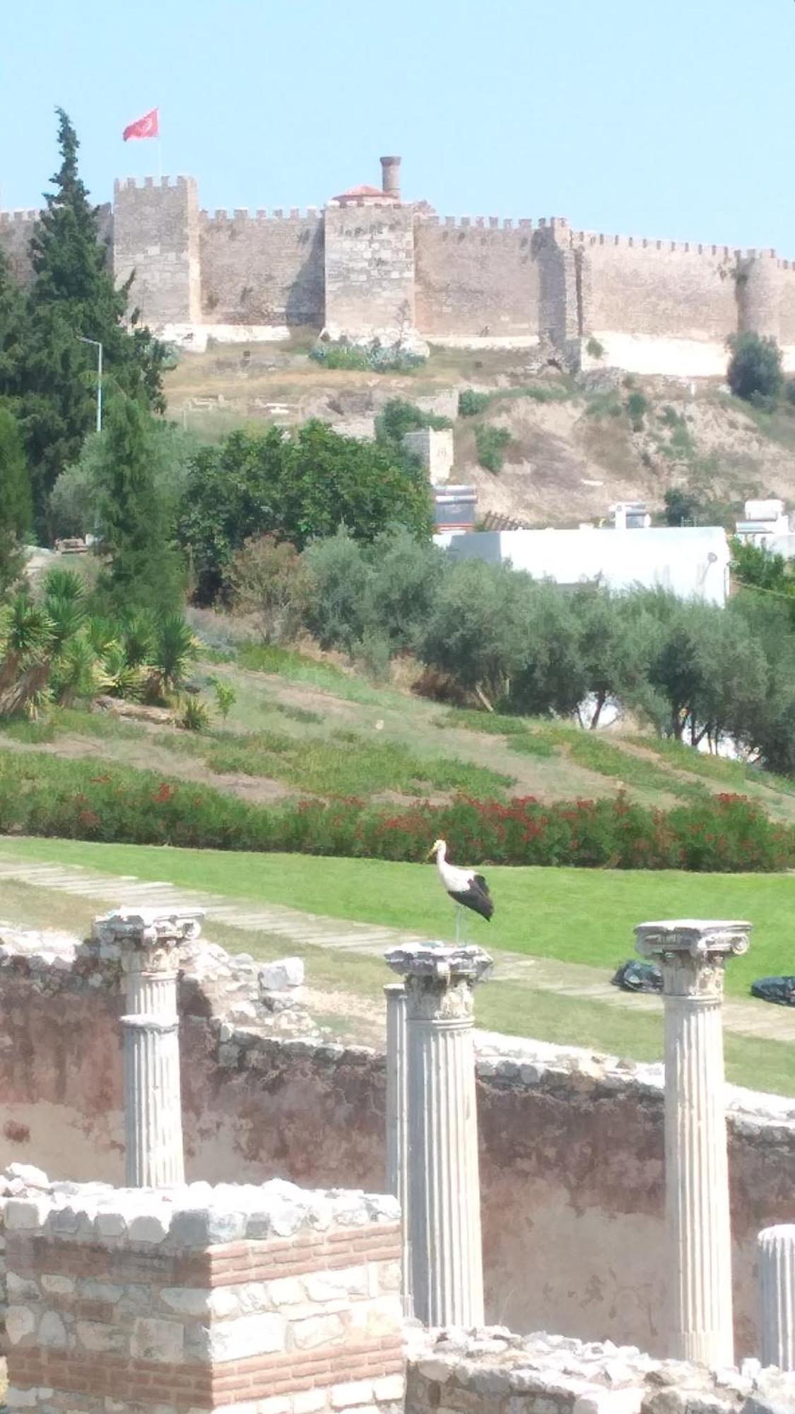 Ephesus Selcuk Castle View Suites Exterior foto